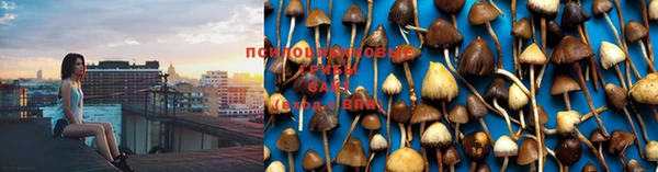 мяу мяу кристалл Костерёво