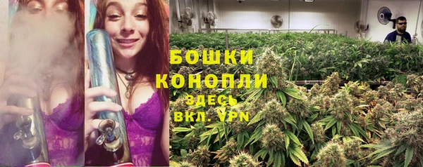 тгк Коряжма