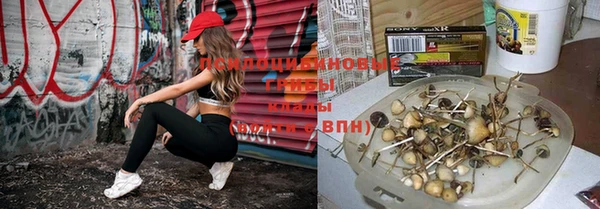 тгк Коряжма